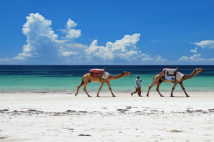 Ukunda Airport Transfers